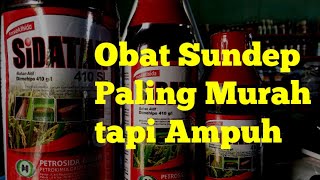 Review Sidatan 410 SL Pembasmi Hama Sundep Paling Murah dan Ampuh [upl. by Digirb]