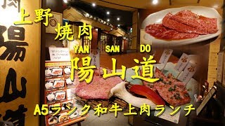 上野 焼肉【陽山道】の和牛上肉ランチ Yakiniku Lunch of YANSANDO in Ueno【飯動画】 [upl. by Breed629]