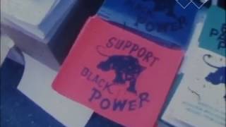 Kwame Ture  quotBlack Power and Its Consequencesquot UC Berkeley 1966 [upl. by Ailahk]