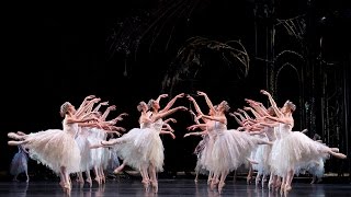 Swan Lake Corps de Ballet The Royal Ballet [upl. by Yanad989]