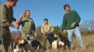 Les meutes de chiens courants Vol2 [upl. by Stanwood]