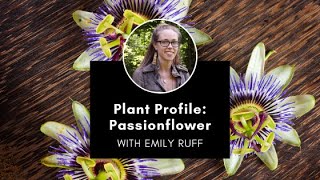 Plant Profile Passionflower with Emily [upl. by Busch]