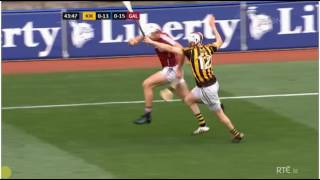 Kilkenny vs Galway Leinster Final 2016 [upl. by Leinoto]