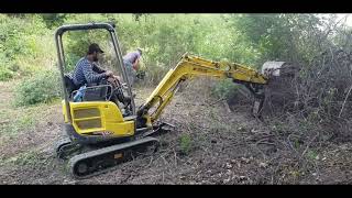 YANMAR VIO17  Defrisare boscheti spinosi  Clearing spiky bushes [upl. by Analise752]