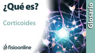 CORTICOIDES  Qué es cuál es su función dónde se encuentran e importancia para el cuerpo [upl. by Kinsley]