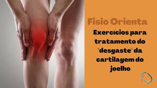 Tratamento do quotdesgastequot da cartilagem do joelho com exercícios [upl. by Kisor192]