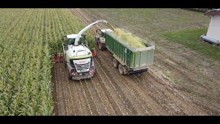 MaisErnte mit dem CLAAS Jaguar 930 [upl. by Belle]