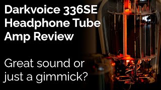 Darkvoice 336SE Tube Amp Review  Great sound or just a gimmick [upl. by Elleiad]