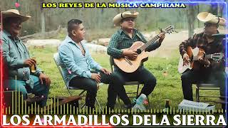 Los Armadillos dela Sierra 🎸 Puros Corridos y Rancheras Guitarra Guerrero 🎸 25 Exitos Inmortales [upl. by Bettzel]