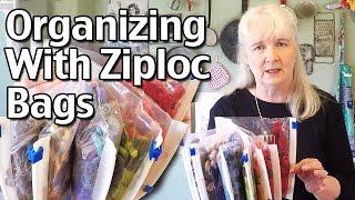 Organizing With Ziploc Bags  Cheap Organizing Containers [upl. by Irep]