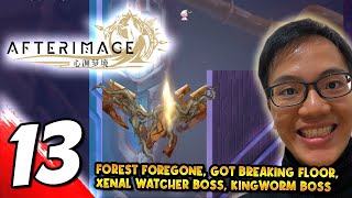 13 AFTERIMAGE Forest Foregone Got Breaking Floor Bosses Xenal Watcher Kingworm [upl. by Riamo950]