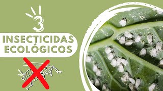 👉 3 POTENTES INSECTICIDAS QUE NO TE FALLARAN‼️Para HUERTO y JARDÍN [upl. by Spoor]