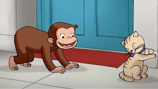 Curioso Come George 🐵 Imparare a conoscere gli animali 🐵Cartoni per Bambini [upl. by Reggi256]