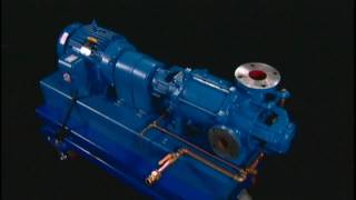 NASH Liquid Ring Vacuum Pump  How It Works [upl. by Findlay]