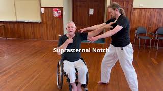 Wheelchair and Seated Self Defense No 2 [upl. by Lartnom]