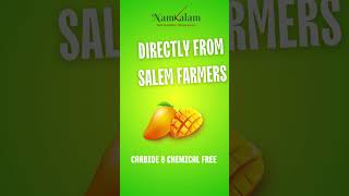 Buy Mangoes Online in Salem [upl. by Krm]