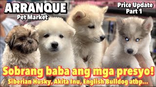 Arranque Pet Market Part 1  March 30 2023  Recto Manila [upl. by Survance]