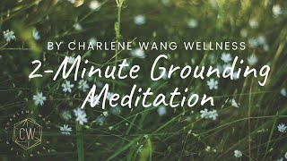 2 Minute Guided Meditation for Grounding [upl. by Caryn]