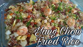 Yang Chow Fried Rice  How to Cook Yang Chow Fried Rice  Gels Kitchen [upl. by Hsirahc]