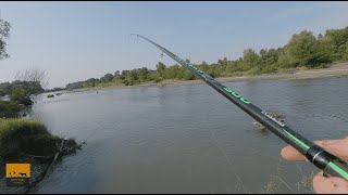 თევზაობა ალაზნის შამაიაზე  Fishing on the Danube bleak [upl. by Eibber]