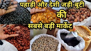 भारत की सबसे बड़ी जड़ीबूटी की होलसेल मार्केट😱Cheapest Jadi Buti Holsel Market  Kharibaoli DELHI6 [upl. by Nnaitsirk]