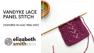 Vandyke Lace Panel Stitch Pattern featured in my Lilac Trail amp Nordic Trail vest patterns [upl. by Lorusso]