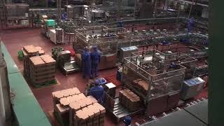 Tsingtao Beer Factory Tour [upl. by Keyte]