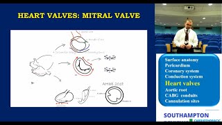 Cardiac Anatomy Mitral and Tricuspid Valves [upl. by Ursa]