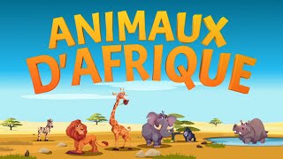 Faits sur les animaux africains  Apprendre les animaux pour les enfants  Vidéos éducatives [upl. by Tansey]