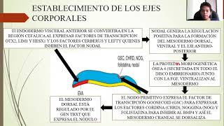 EMBRIOLOGÍA TERCERA SEMANA DE DESARROLLO DISCO GERMINAL TRILAMINAR [upl. by Katinka]