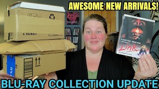 BLURAY COLLECTION UPDATE  Review Copies DVDs From Gruv and Online PreOrders [upl. by Varien]