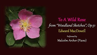 Edward MacDowell To A Wild Rose Op51 [upl. by Lacy]