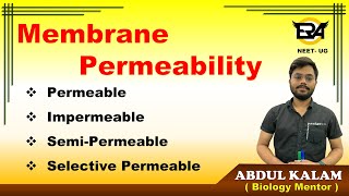 Membrane permeability  Permeable  Semipermeable  impermeable  Selective permeable  NEET [upl. by Avah]