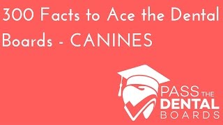 300 Dental Anatomy Facts PART 3  CANINES  NBDE Part 1 [upl. by Bouzoun]