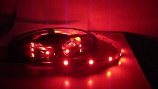 Learn what 5050 RGB LED Lights are [upl. by Aznerol89]