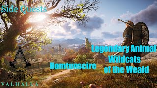 Assassins Creed Valhalla Side Quest Hamtuscire Legendary Animal Wildcats of the Weald [upl. by Vic]