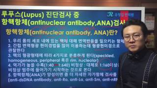 루푸스Lupus 진단검사 중 항핵항체antinuclear antibodyANA [upl. by Nonohcle]