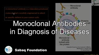 Monoclonal Antibodies in Diagnosis of Diseases Biology Lecture  Sabaqpk [upl. by Ginsburg]