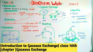 Introduction to Gaseous Exchange class 10th chapter Gaseous Exchange [upl. by Elletnahc]