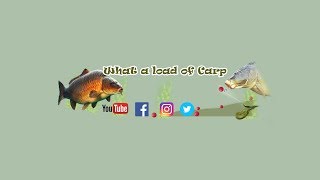 Using Liquidised Bread for Carp Fishing [upl. by Jehu]