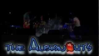 Fishnet Stockings Stray Cats by The Albionauts  Live in Spain [upl. by Anihpled]