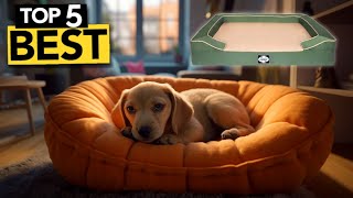 TOP 5 Best Dog Bed  2024 Buyers Guide [upl. by Einiar]