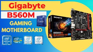 B560M Gaming HD Gigabyte Motherboard Support Processor in Hindi Detail [upl. by Thedric]