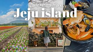 3 day Trip to Jeju Island Without a Car Flower fields aesthetic cafes what I ate Korea VLOG [upl. by Aikim]