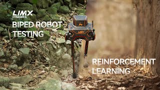 LimX Dynamics’ Biped Robot P1 Conquers the Wild Based on Reinforcement Learning [upl. by Adaminah]