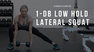 DB Low Hold Lateral Squat [upl. by Feenah884]