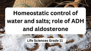 Homeostatic control of water and salts role of ADH and aldosterone [upl. by Frodin]