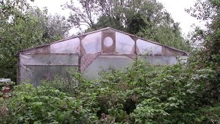 Homemade Polytunnel  Made From Recycled Scaffolding [upl. by Alleuqahs]