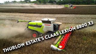 4Kᵁᴴᴰ Harvest 2024 Thurlow Estates THREE Claas Lexion 8800 combines harvesting beans in Suffolk [upl. by Nwaf891]