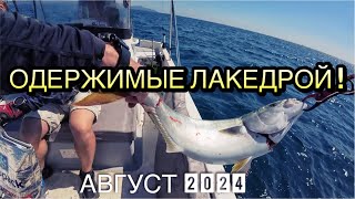 ЛАКЕДРА РВЕТ ШНУРЫ 😱 РЫБА ЖРЁТ КОТЛЫ ПОГОНИ [upl. by Hsotnas]